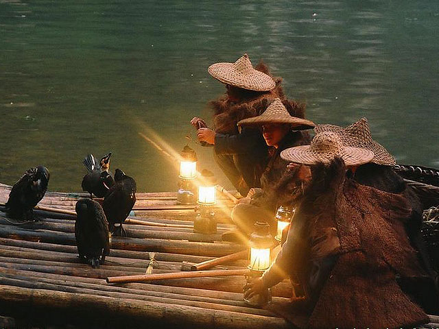 Cormorant Fishing,Guilin