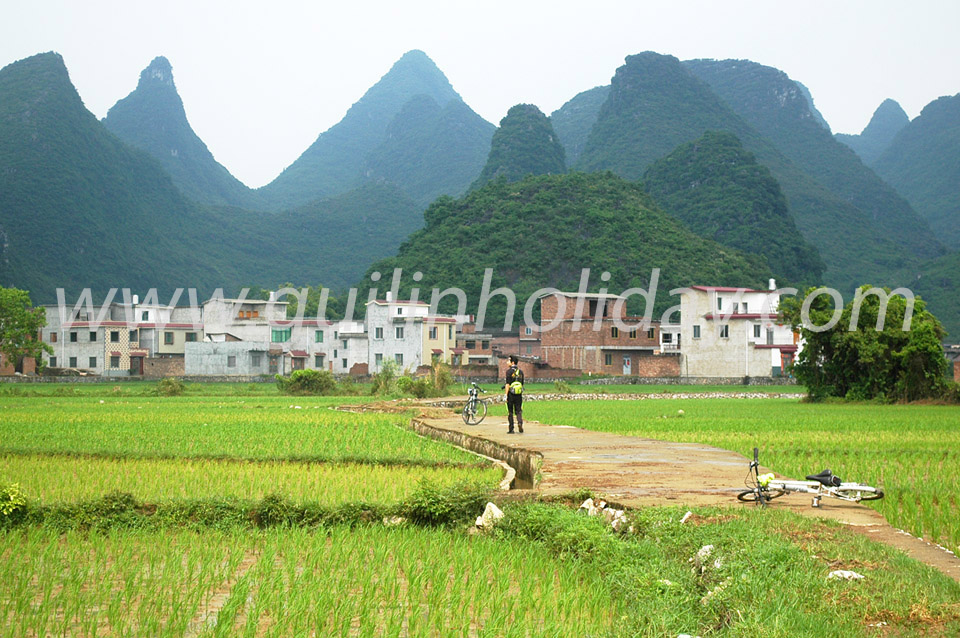 Huixian Wetland Park in Guilin