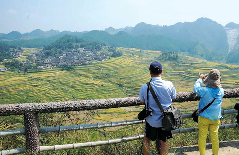 The rice terraces in Guizhou of China