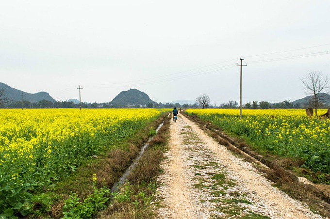 Country roads biking from Guilin to Yangshuo