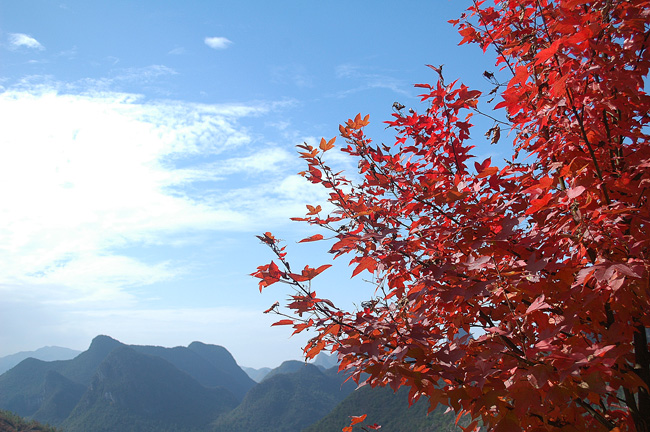 Awesome scenery in autumn 