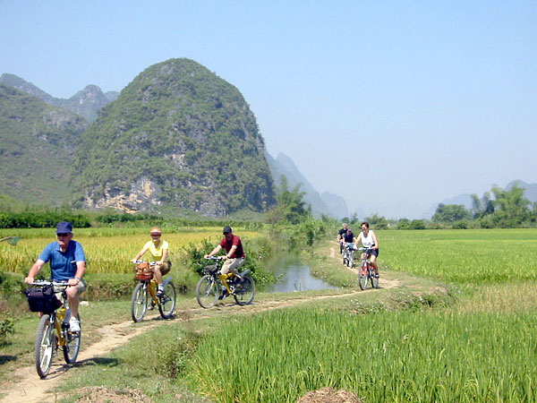 Biking along the rice fields in Yangshuo