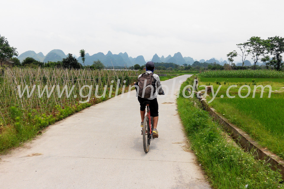 Real country road biking to Yangshuo