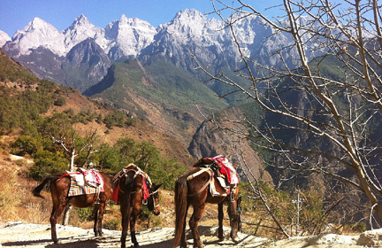 Local farmer on Tiger Leaping Gorge use horses for carrying things