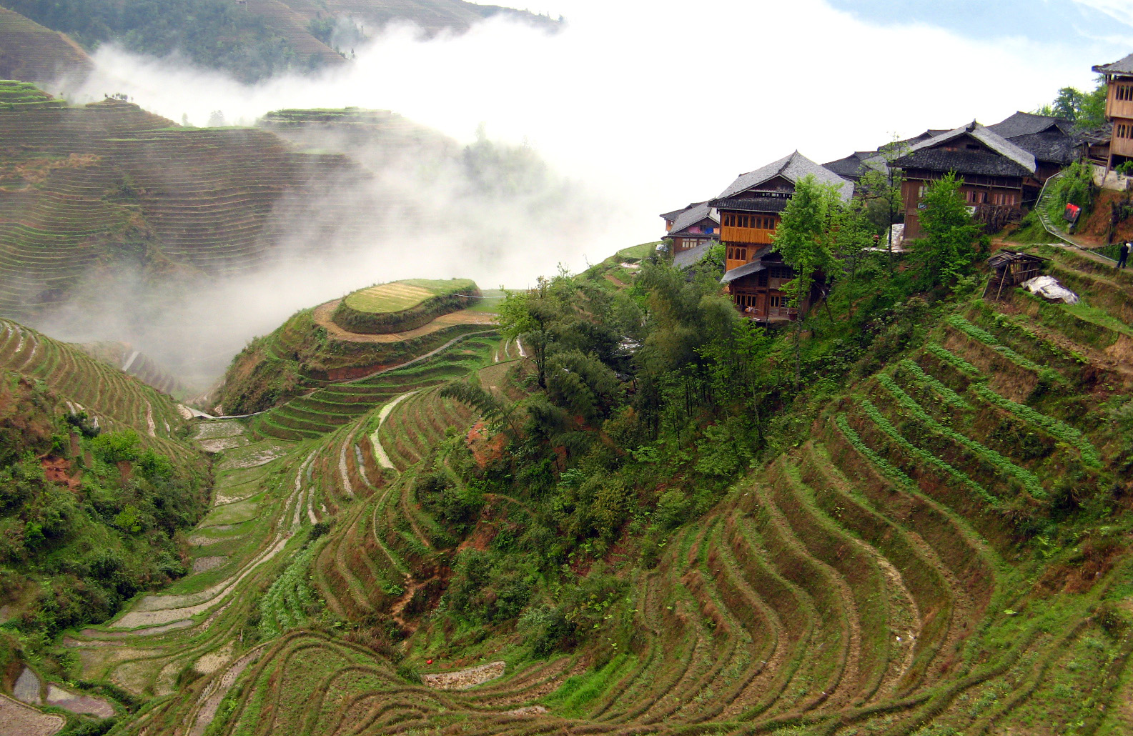 the dragon's backbone terraces