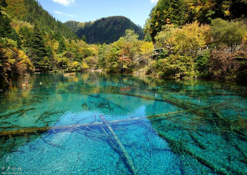 Five-flower Lake at Jiuzhaigou Valley,Sichuan China