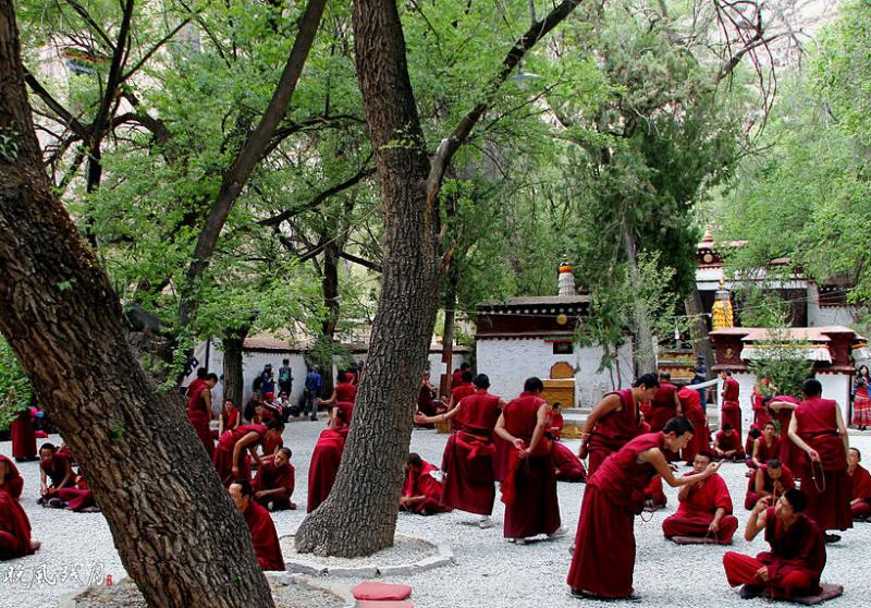 Monks debate at Sera Monastery,Tibet