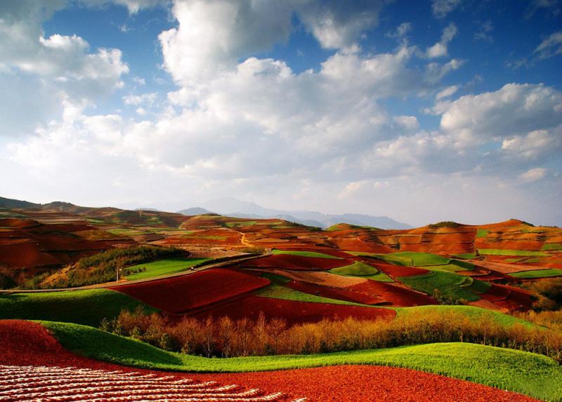 The laterite fields of Qicai Slope at Dongchuan,Yunnan