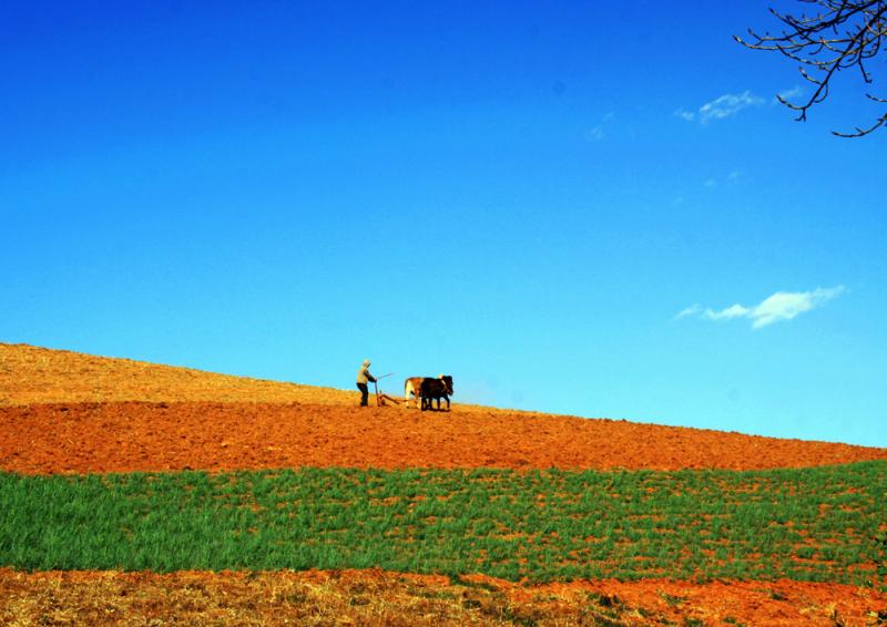 The laterite fields in Dongchuan,Yunnan China