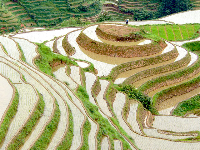 Spring is one of the best time to vist Longji Rice Terraces