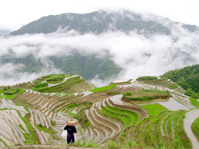 Longji Rice Terraces in Longsheng Guilin