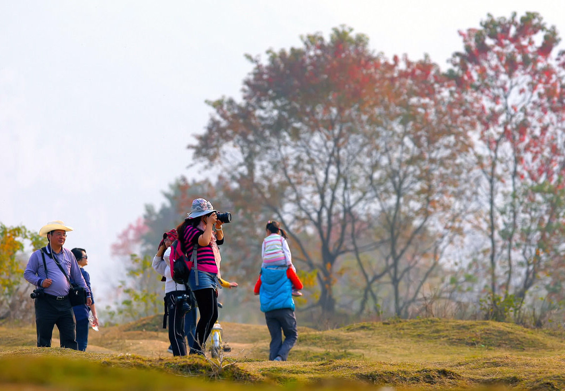 Autumn outing for family,Guilin