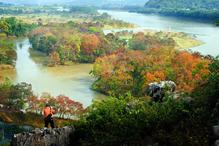 Red autumn leaves along Li River,Guilin