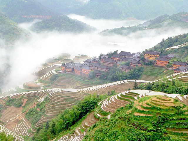 A bird's eye view of Longji rice terrace fields and houses of Zhuang people