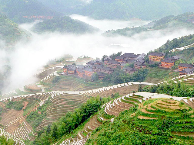 Terraced Fields of Longji,Guilin