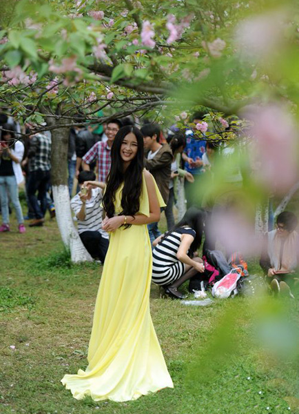 Cherry Blossom Festival in Nanxi Mountain Park,Guilin